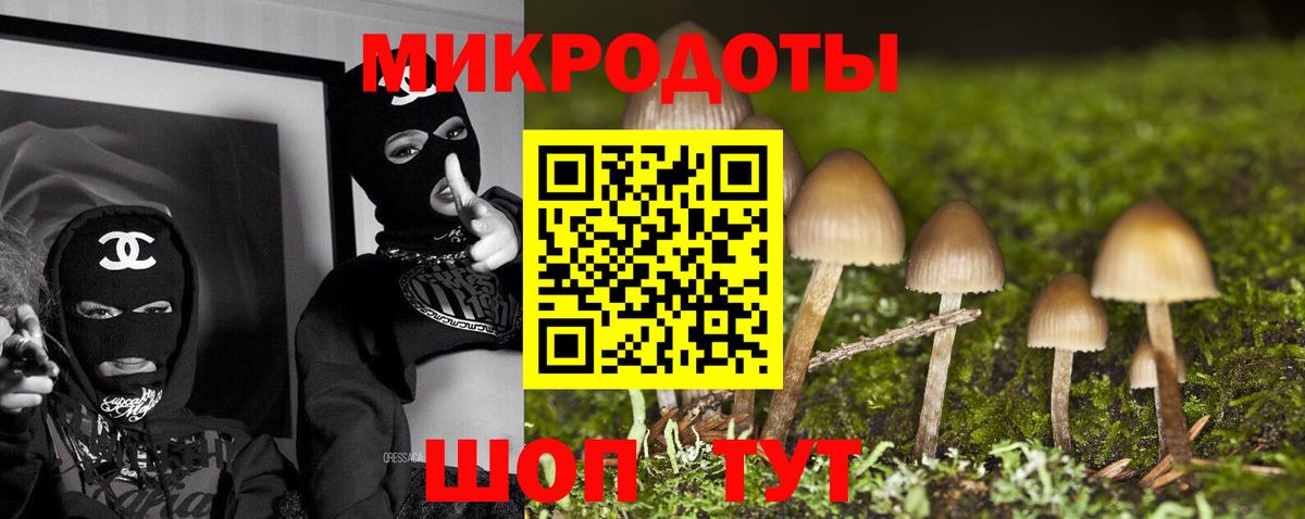 Псилоцибиновые грибы Psilocybe  Вход с VPN  Нягань 